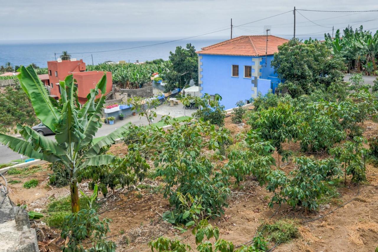 Casa Las Canas Icod De Los Vinos Exterior foto